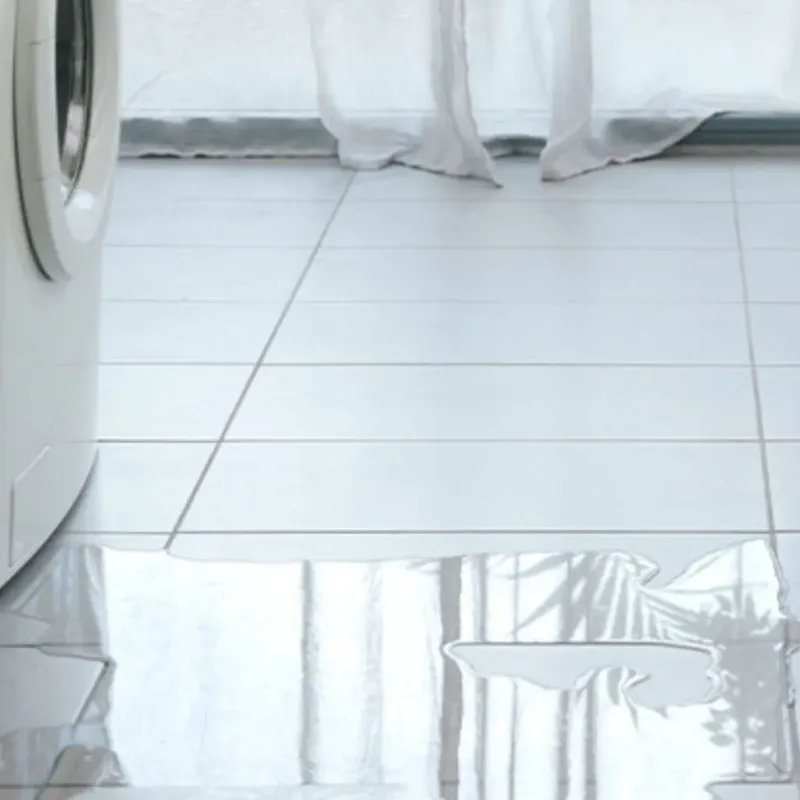 Appliance Leak Cleanup in Wailua Homesteads, HI